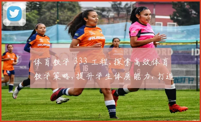 体育教学 333 工程,探索高效体育教学策略,提升学生体质能力,打造优质课堂体验。