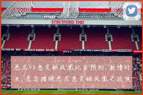 悉尼vs惠灵顿凤凰比分预测,激情对决,悬念揭晓悉尼惠灵顿凤凰之战焦点前瞻