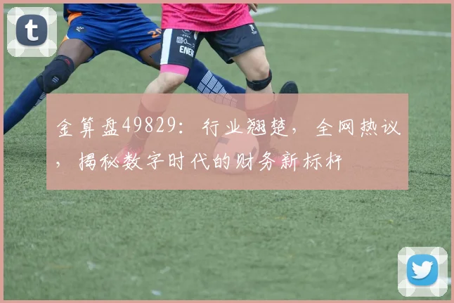 金算盘49829：行业翘楚，全网热议，揭秘数字时代的财务新标杆