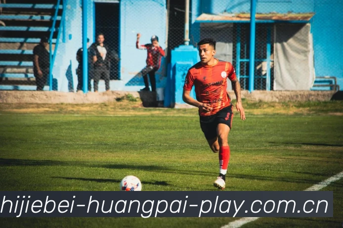 平台展示图